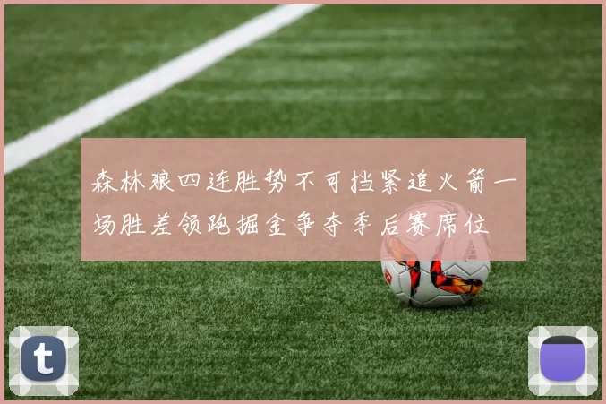 森林狼四连胜势不可挡紧追火箭一场胜差领跑掘金争夺季后赛席位