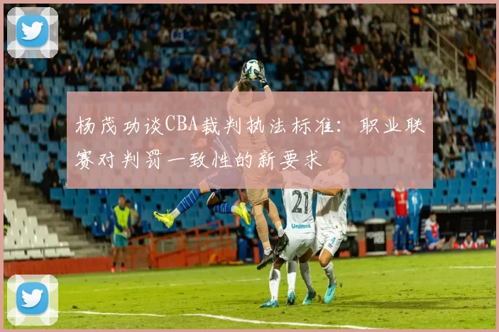 杨茂功谈CBA裁判执法标准：职业联赛对判罚一致性的新要求