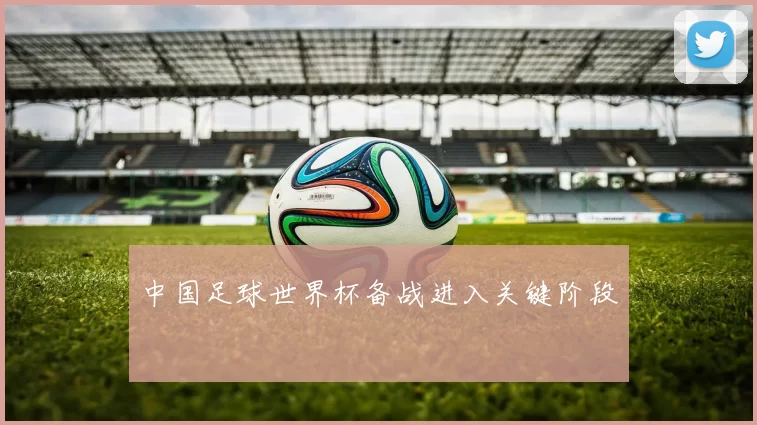 中国足球世界杯备战进入关键阶段