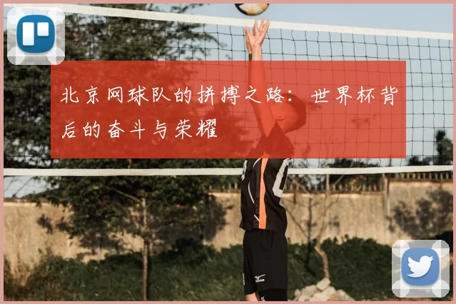 北京网球队的拼搏之路：世界杯背后的奋斗与荣耀