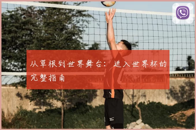 从草根到世界舞台：进入世界杯的完整指南