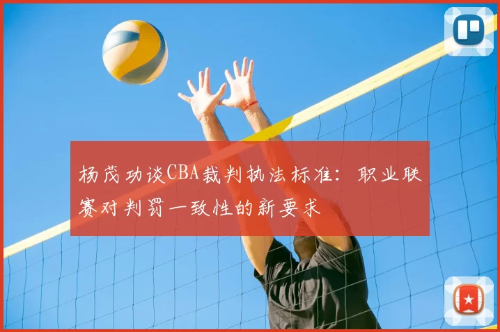 杨茂功谈CBA裁判执法标准：职业联赛对判罚一致性的新要求