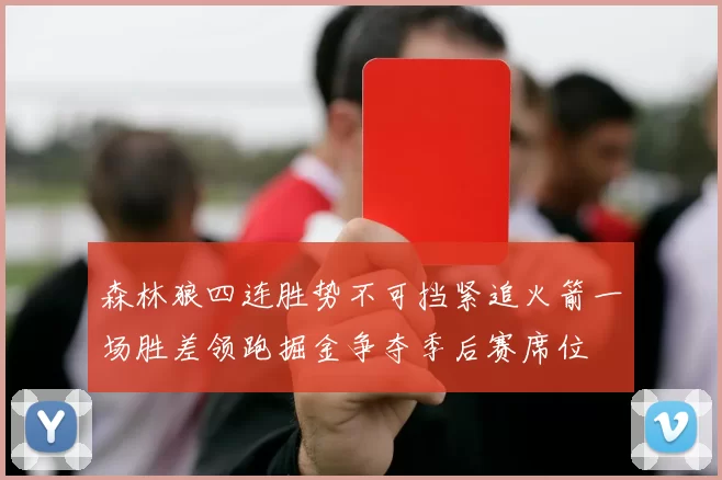 森林狼四连胜势不可挡紧追火箭一场胜差领跑掘金争夺季后赛席位
